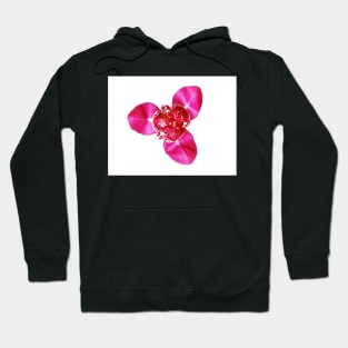 Tigridia Pavonia Hoodie